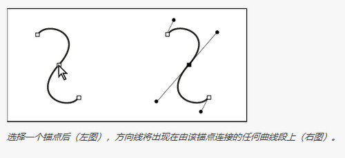 Adobe Illustrator CC 2020破解版