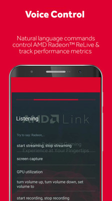 amd link