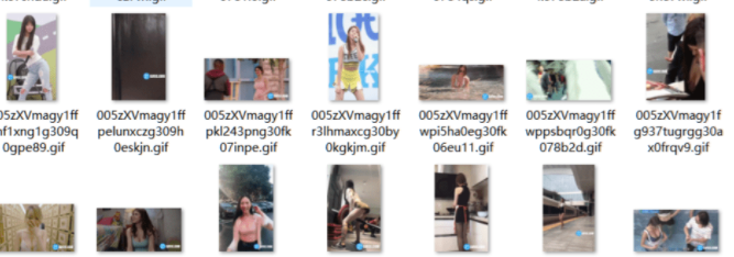 GIF妹子图片批量下载器绿色版