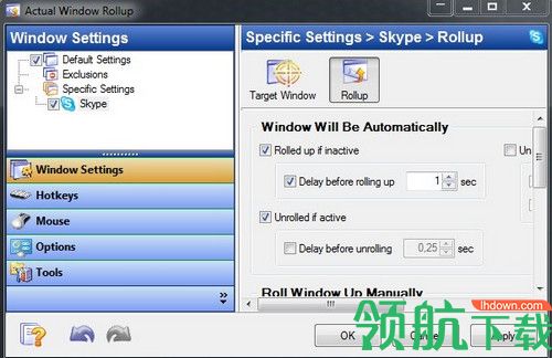 Actual Window Rollup破解版