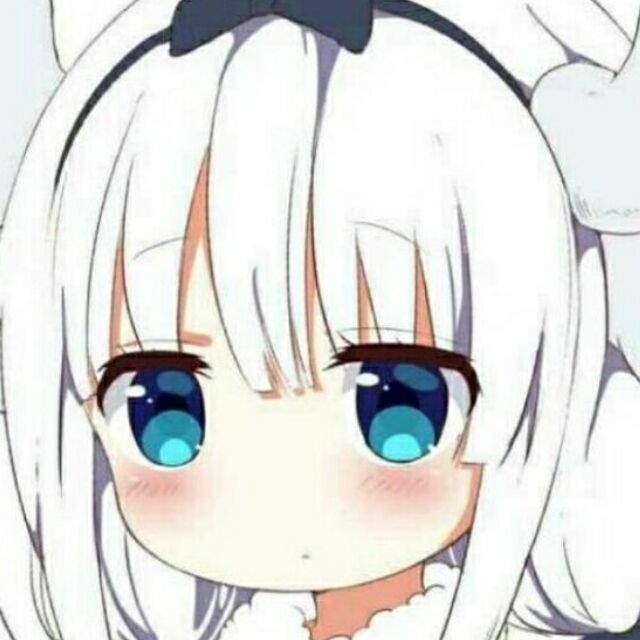 清酒浏览器安卓版