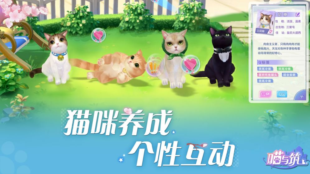 喵与筑测试版