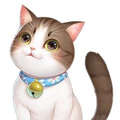 喵与筑测试版