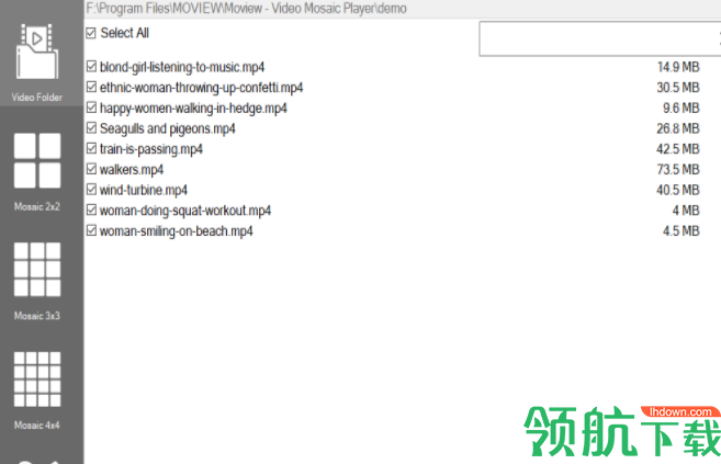 MoviewVideoMosaicPlayer马赛克视频播放工具破解版