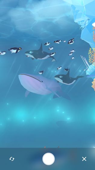 深海水族馆极地官方版