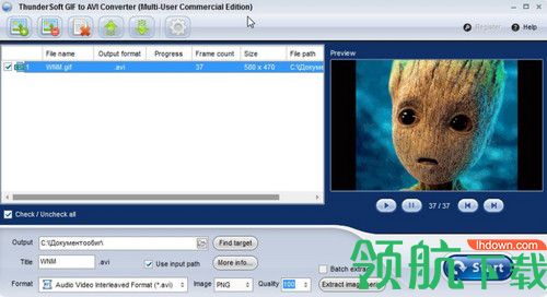 ThunderSoft GIF to AVI Converter破解版