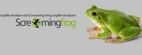Screaming Frog Log File Analyser破解版