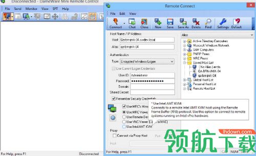 DameWare Mini Remote Control破解版