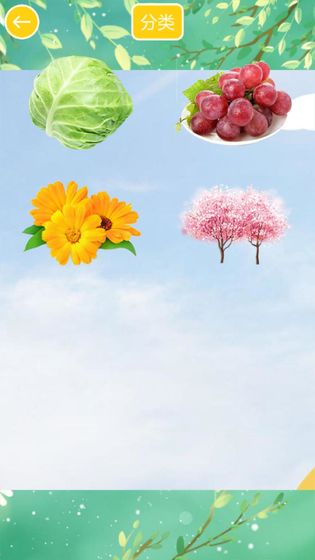 儿童植物拖拖乐安卓版