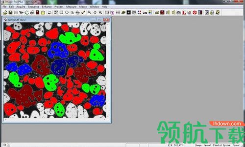 image pro plus破解版