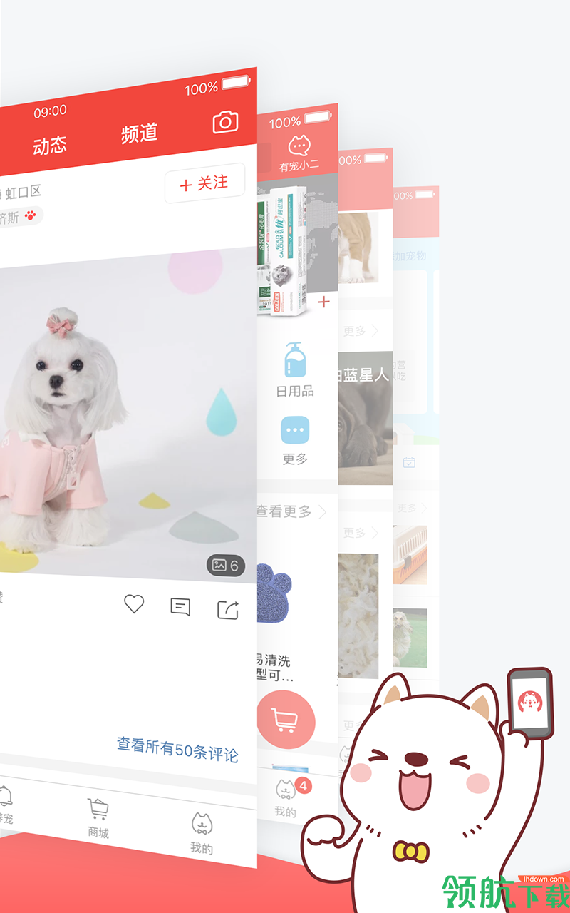 宠物服务
