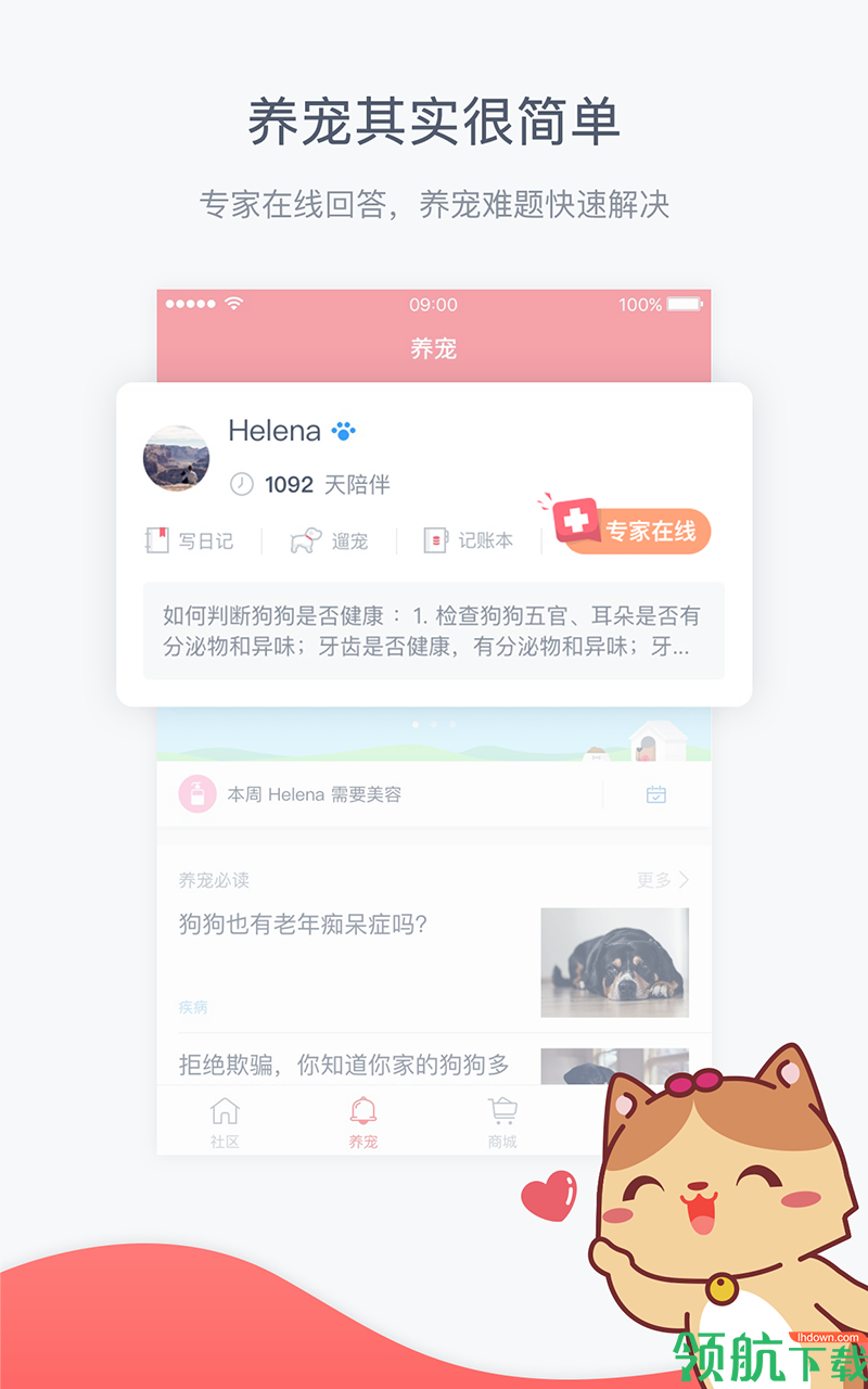 宠物服务