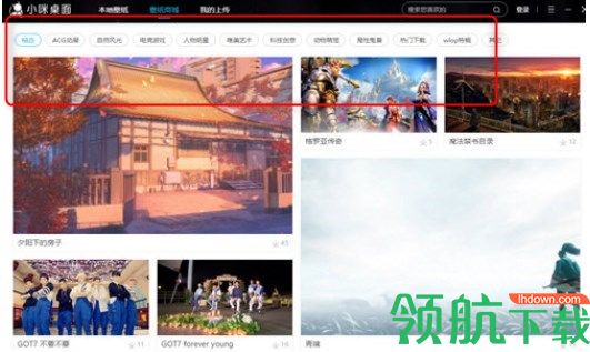 小咪梦幻桌面客户端官方版