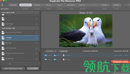 Duplicate File Remover Pro Mac破解版