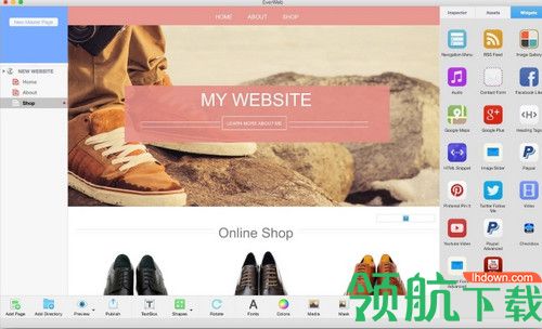 EverWeb Mac破解版