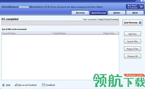 DataNumen Oracle Recovery破解版