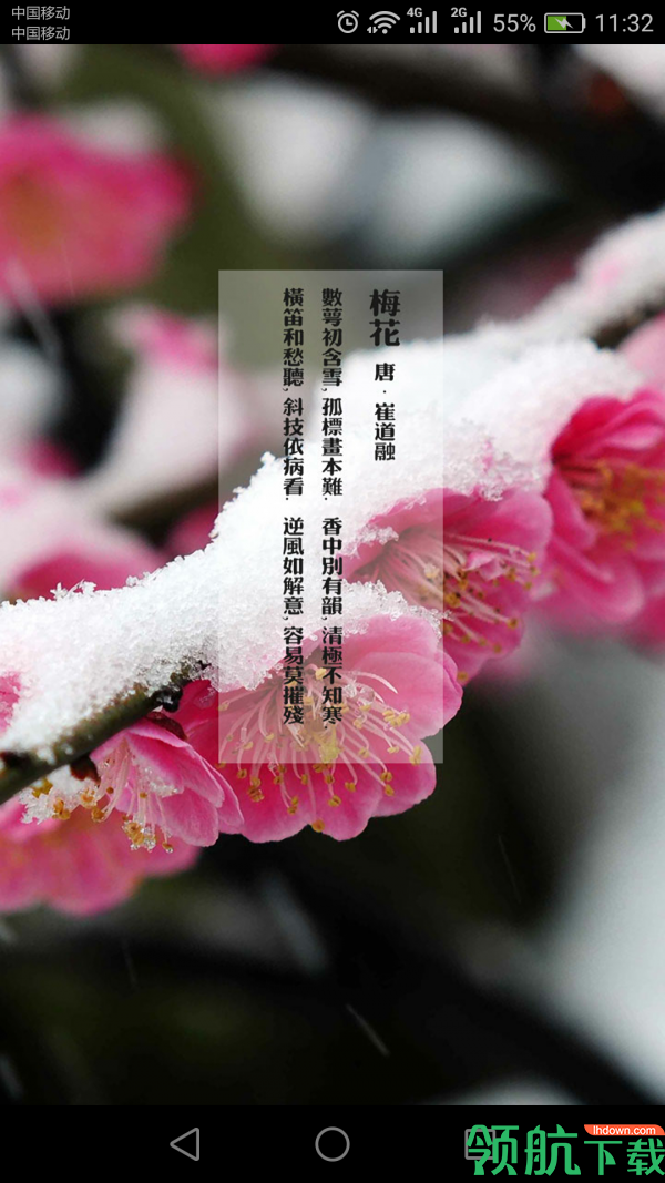 浏览器