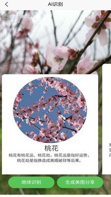 花草鉴别