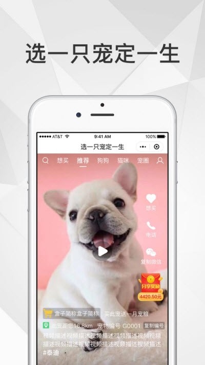 奶宠App手机最新版
