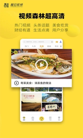 视频播放