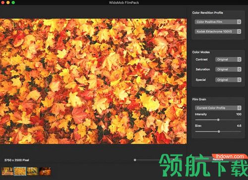 WidsMob FilmPack Mac破解版