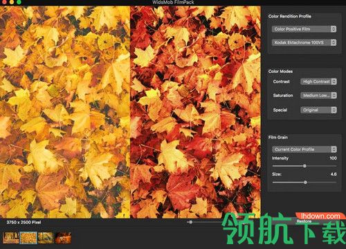 WidsMob FilmPack Mac破解版