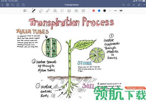 GoodNotes For Mac破解版