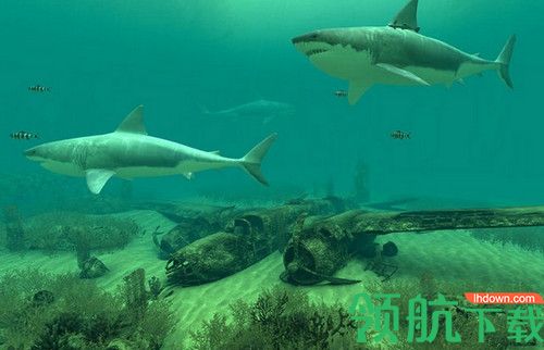 Sharks 3D Mac破解版