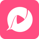 聊客App手机版