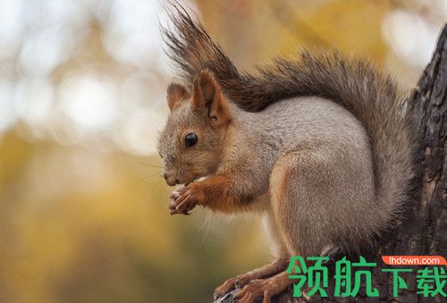 AKVIS HDRFactory Mac破解版