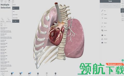 Complete Heart Mac破解版