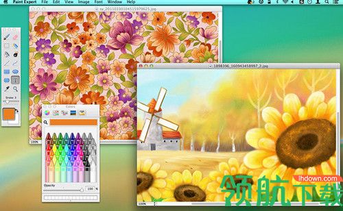 Paint Expert Mac破解版