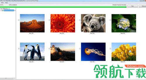 DataNumen Data Recovery破解版