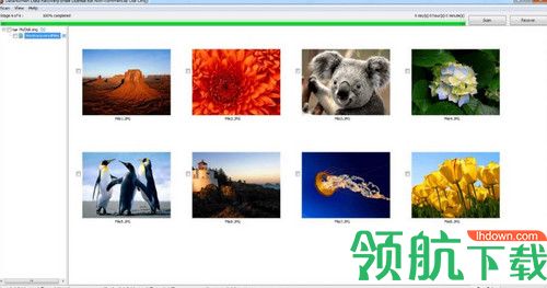DataNumen Data Recovery破解版