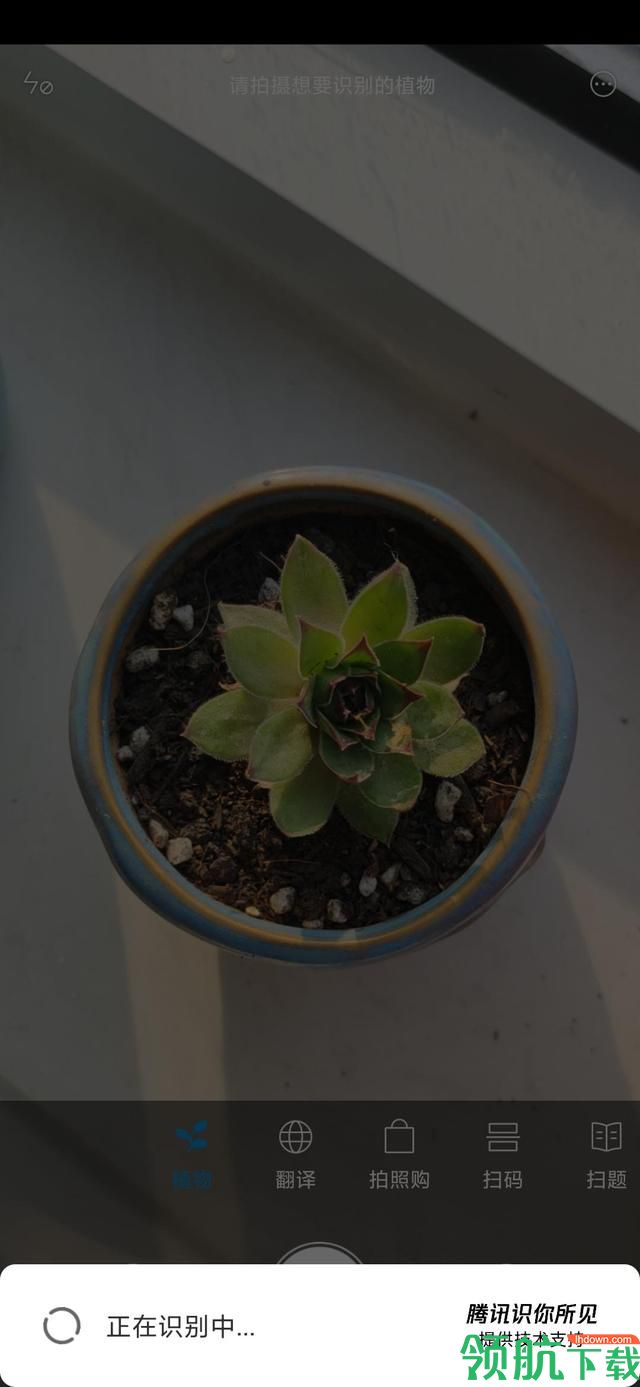 植物识别App官方版