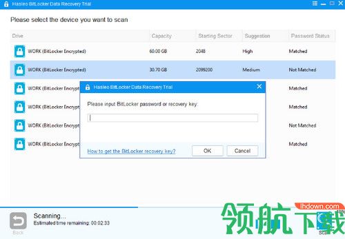 Hasleo BitLocker Data Recovery破解版