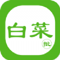 白菜批车App最新版