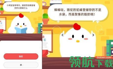 骆驼的驼峰里储存的主要是什么?2020蚂蚁庄园5.16日答案