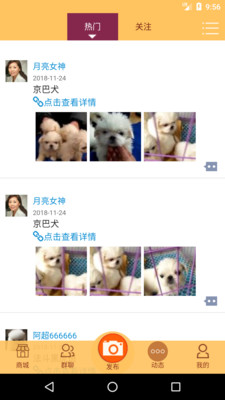 宠物服务