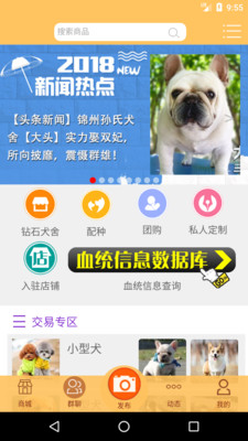 宠物服务