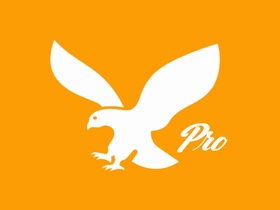 HttpCanary(手机抓包工具)付费高级版