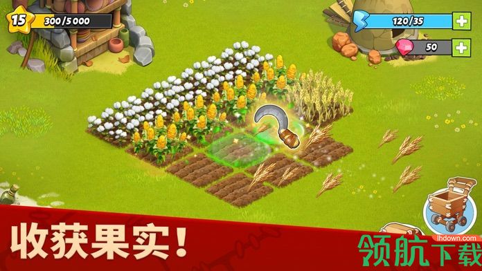 家庭岛最新版破解版