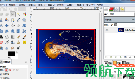 GIMPformac中文绿色版