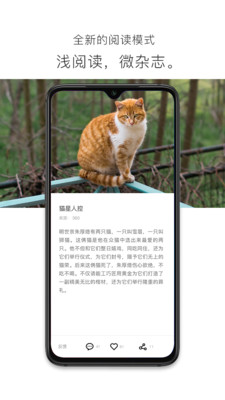 图书阅读