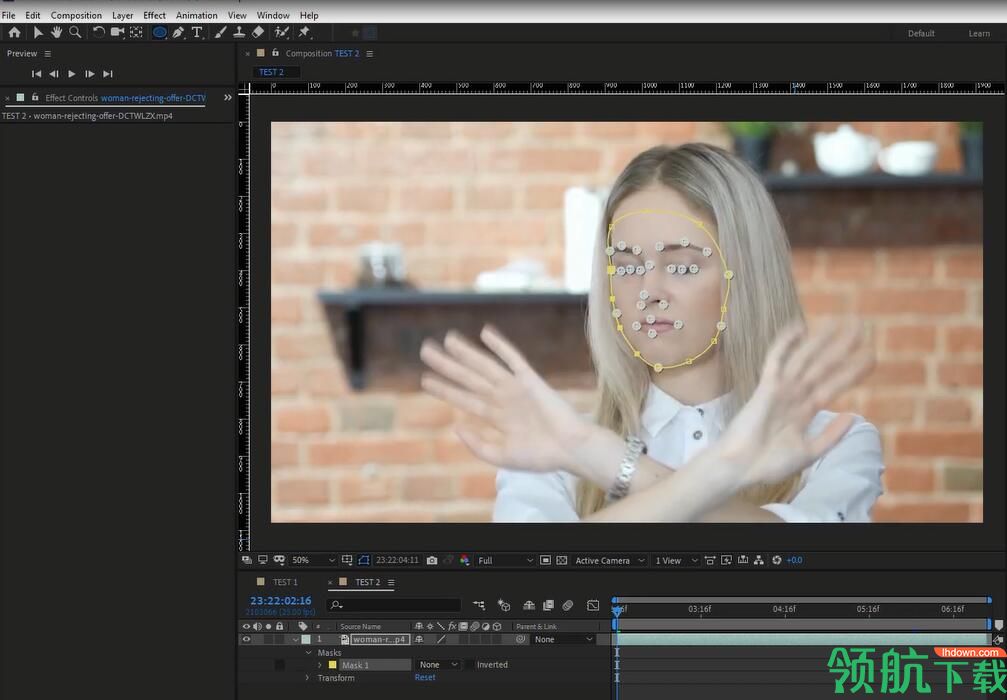 AE Face Tools(AE面部追踪美颜滤镜换脸插件)绿色版