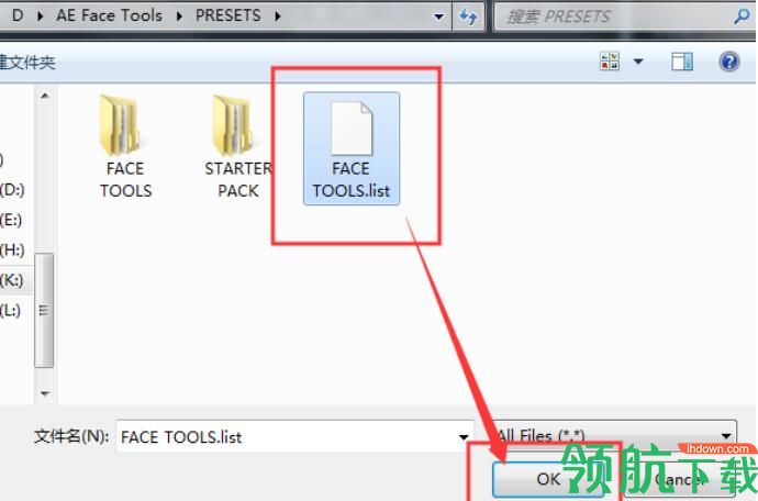 AE Face Tools(AE面部追踪美颜滤镜换脸插件)绿色版