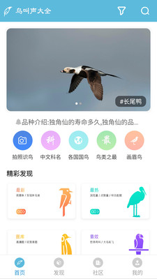 影音视听