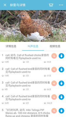 影音视听