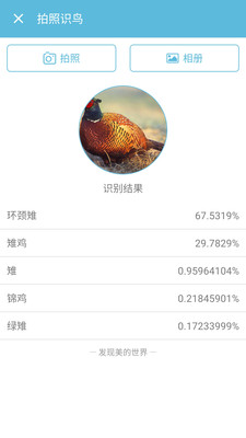 影音视听