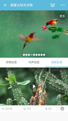 影音视听